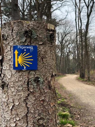 Pilgerweg (c) Winfried Müller Pilgerweg