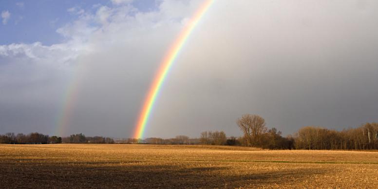 Regenbogen