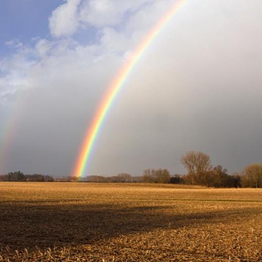 Regenbogen