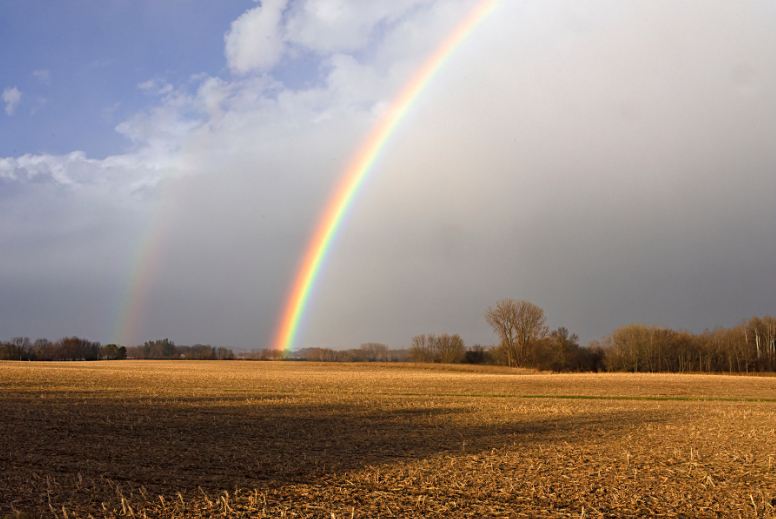Regenbogen